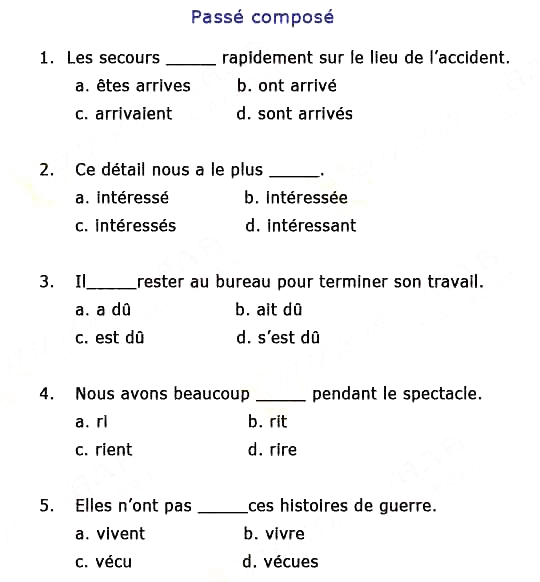 法语TEF试题-词汇语法分类真题集(五)